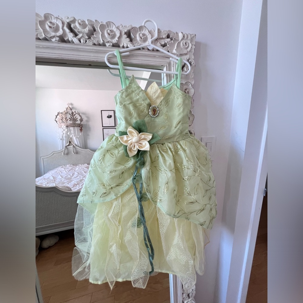Selling Disney dresses for girls in size 5-6 in great condition, all 9 dresses